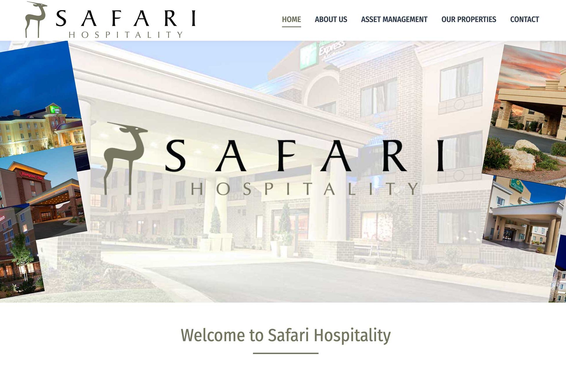 safari